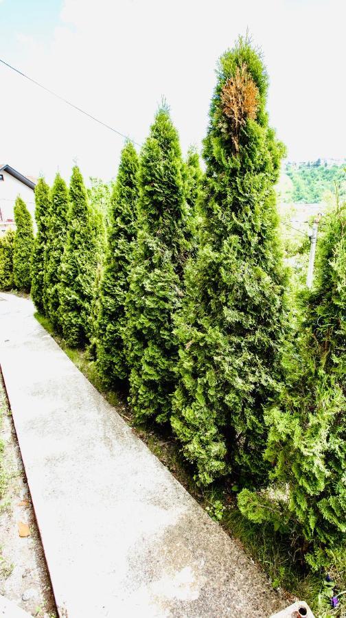 Apartmani In Zlatar Nova Varoš Exterior foto